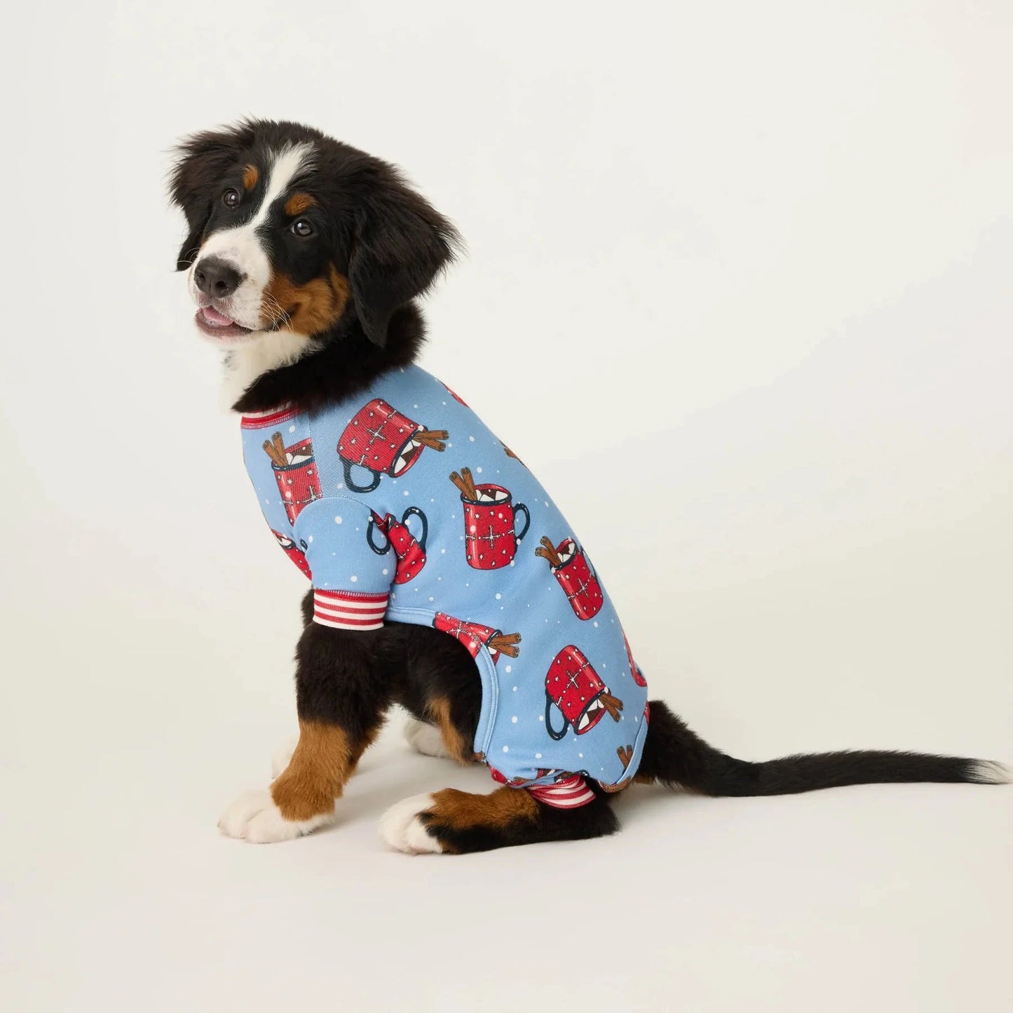 Hug in a Mug Pajamas - Dog